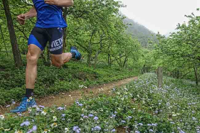 Maratón-de-Montaña-en-Vietnam